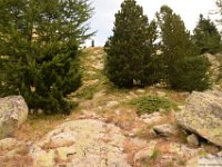 2025-07-27 M. Pelago e Lacs Bessons 073